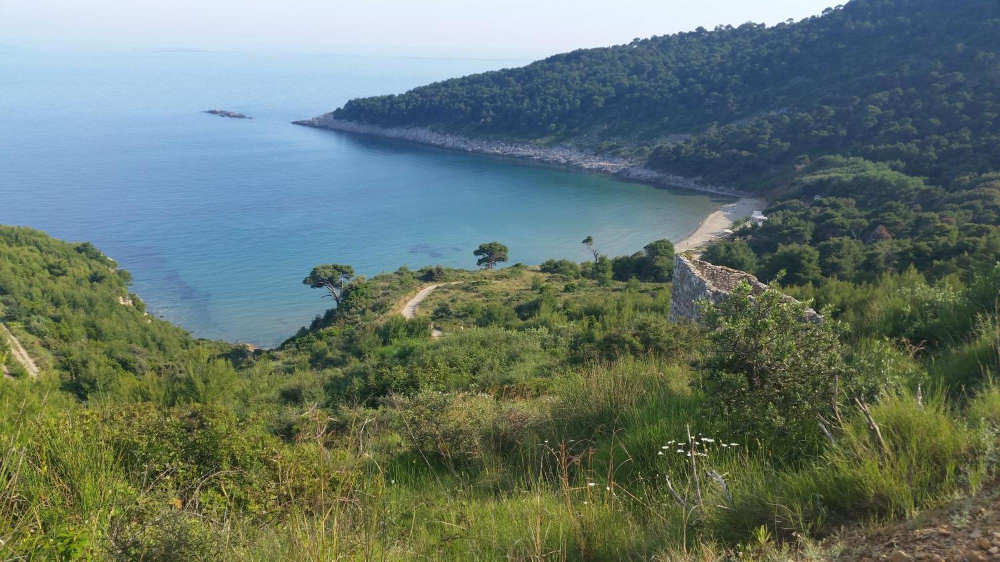 Guesthouse Storelli Lopud Εξωτερικό φωτογραφία